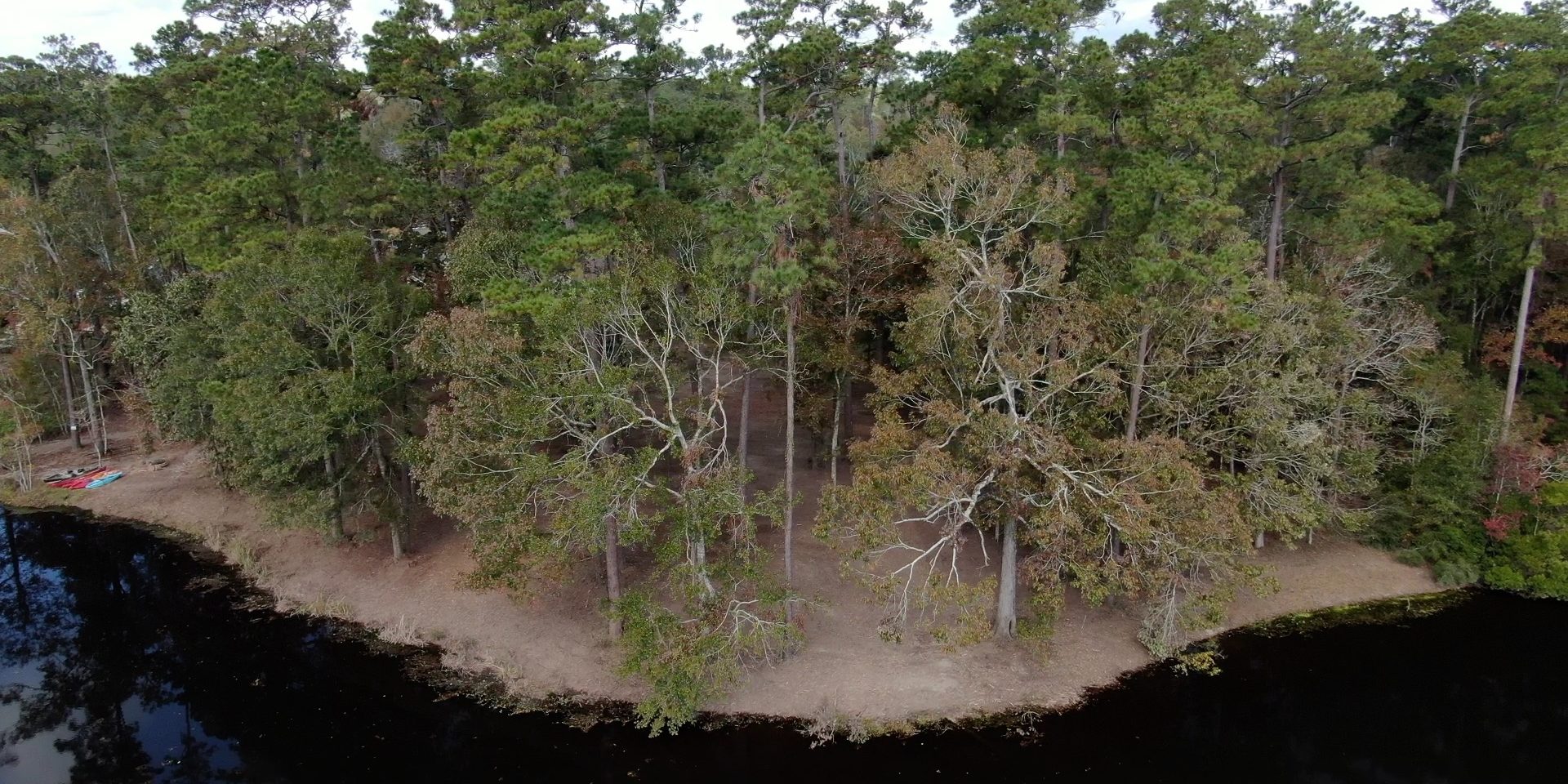 South East Louisiana Forestry Mulching Service