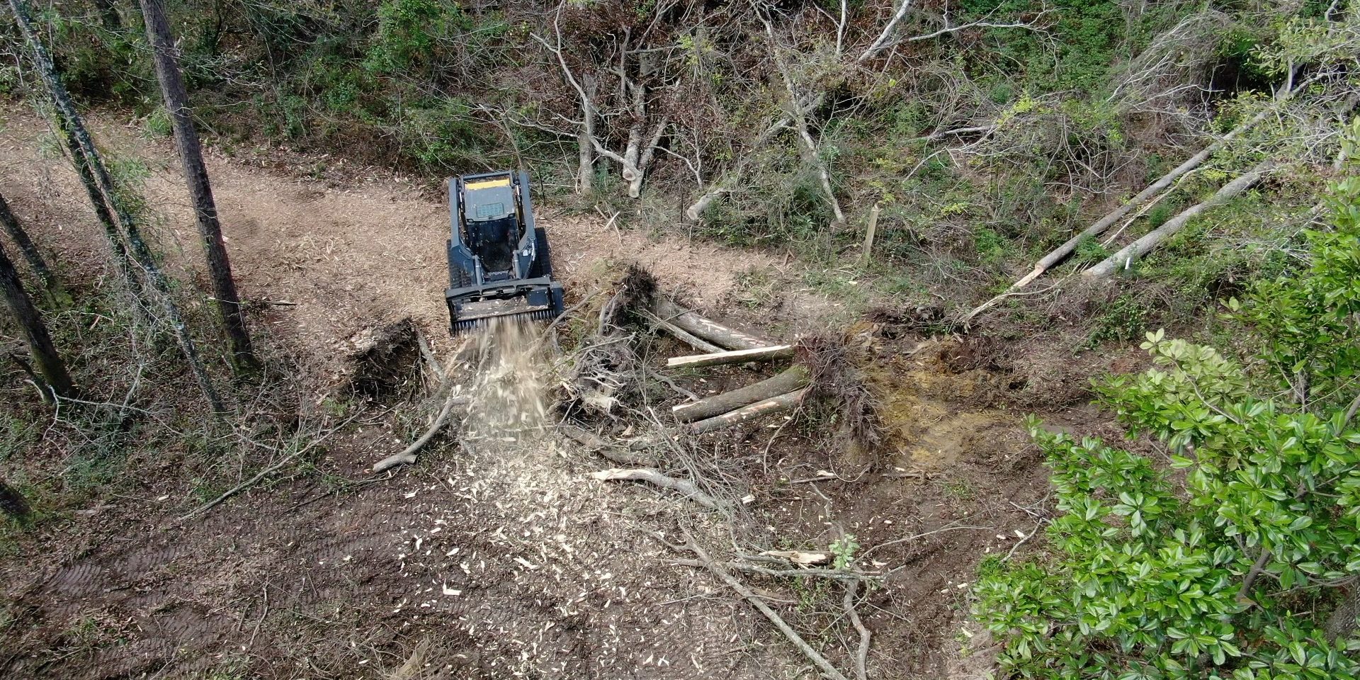 South East Louisiana Forestry Mulch9ing service.