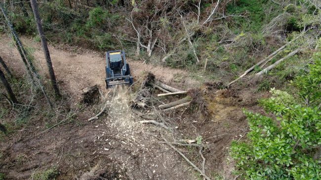 South East Louisiana Forestry Mulch9ing service.
