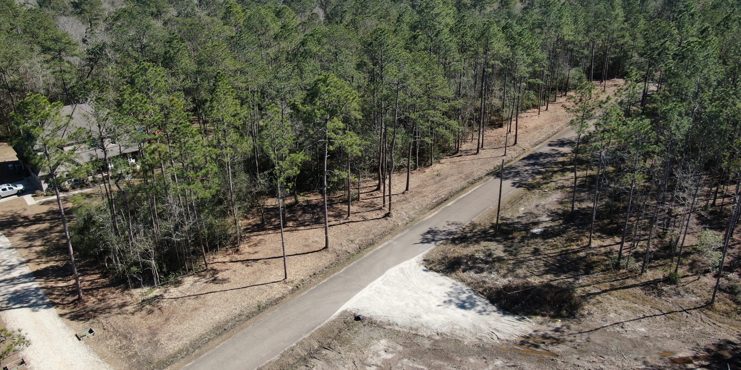 Forestry Mulching in Lacombe, Louisiana