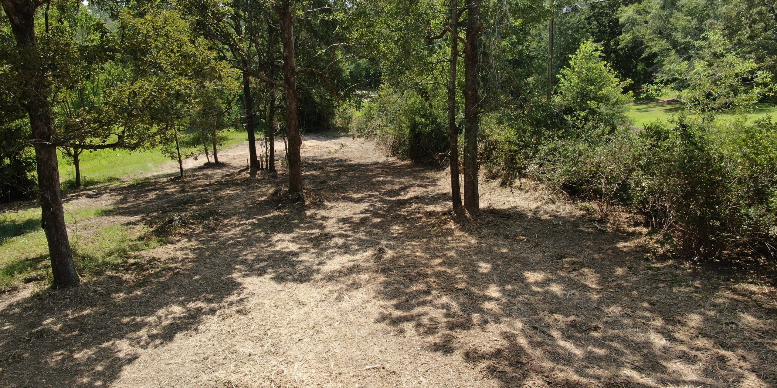 Louisiana Northshore Forestry Mulching Service