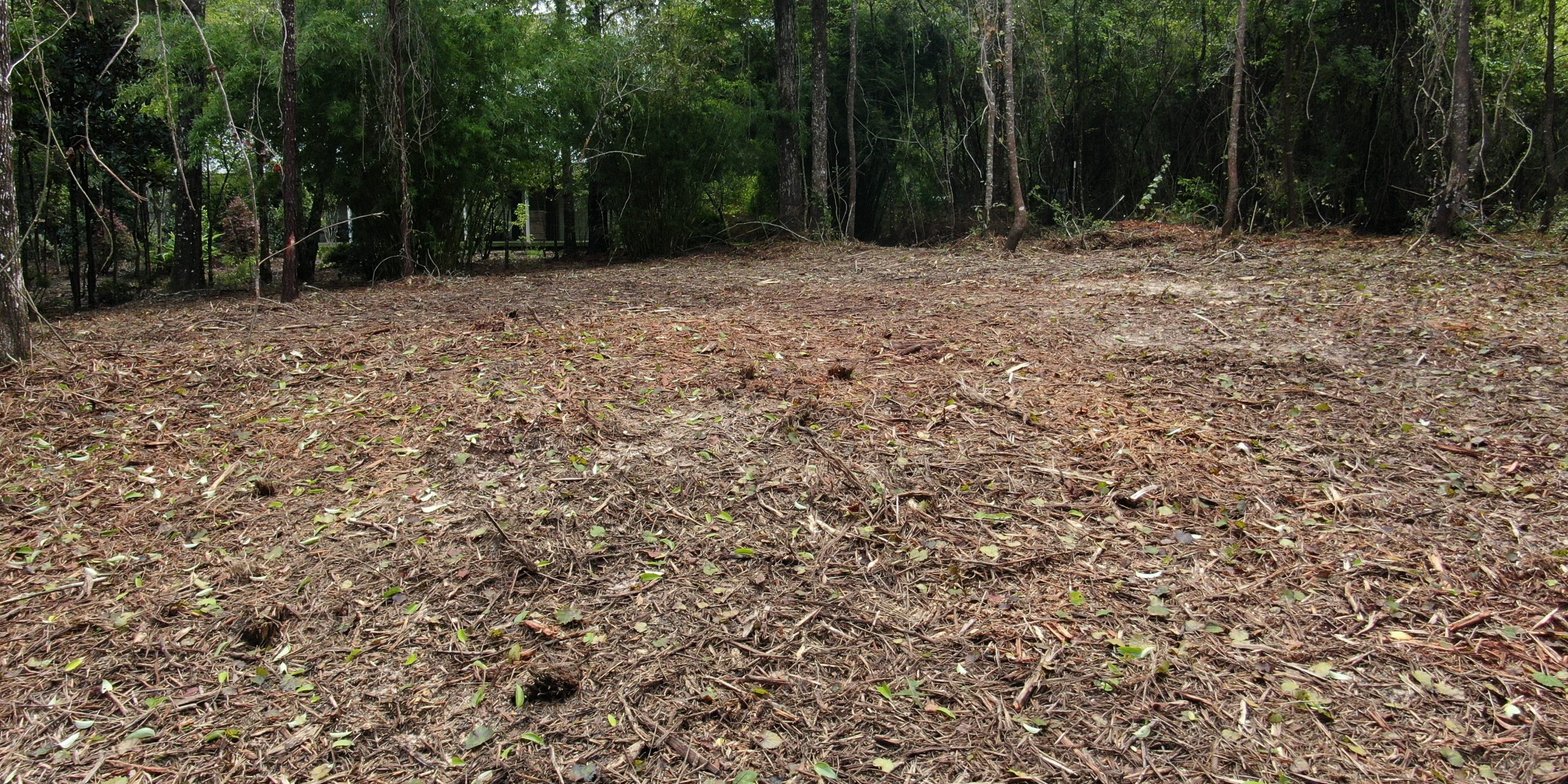 Madisonville, Louisiana Forestry Mulching Service Madisonville, Louisiana Forestry Mulching Service