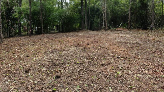Madisonville, Louisiana Forestry Mulching Service
