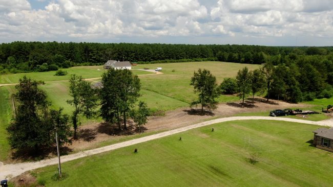 Loranger, Louisiana Forestry Mulching