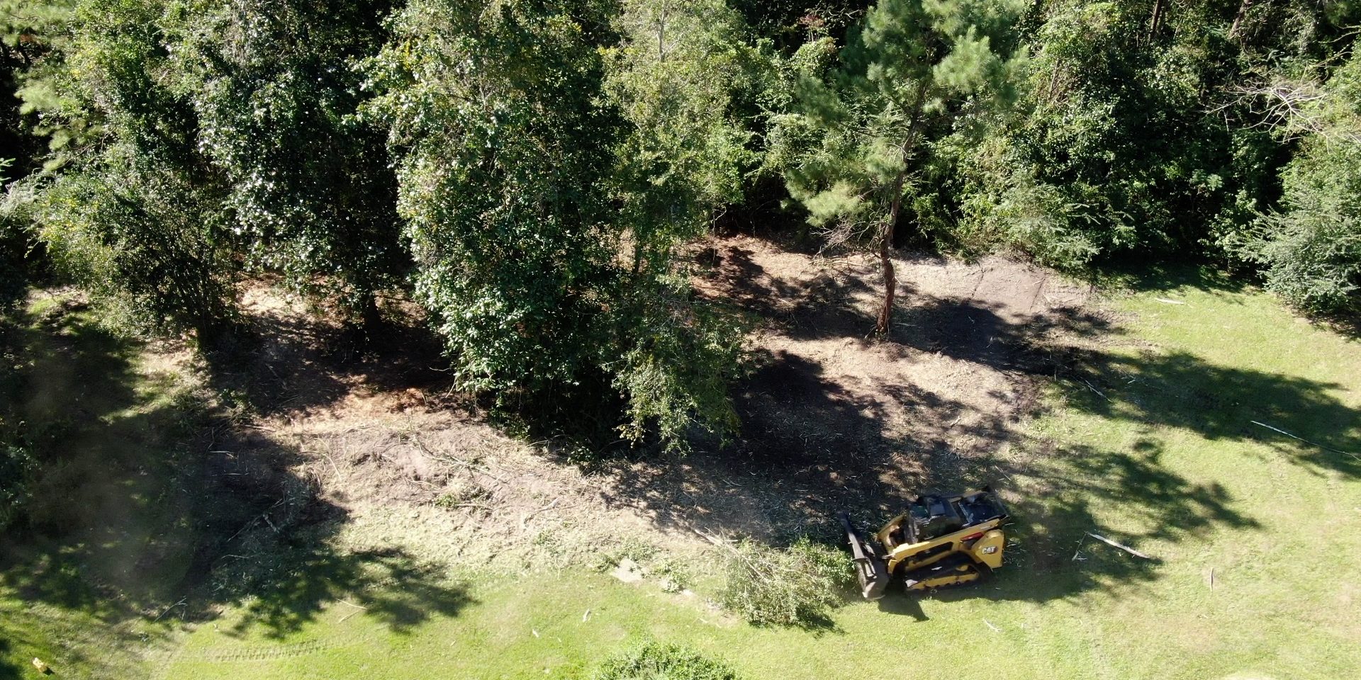 Forestry Mulching Covington, Louisiana