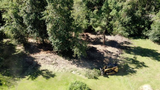 Forestry Mulching Covington, Louisiana