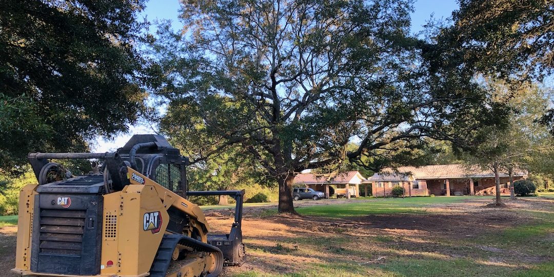 Forestry Mulching service Property and yard clearing service.