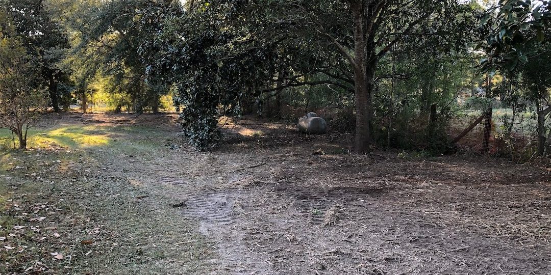 Forestry Mulching & Brush Cutting Service