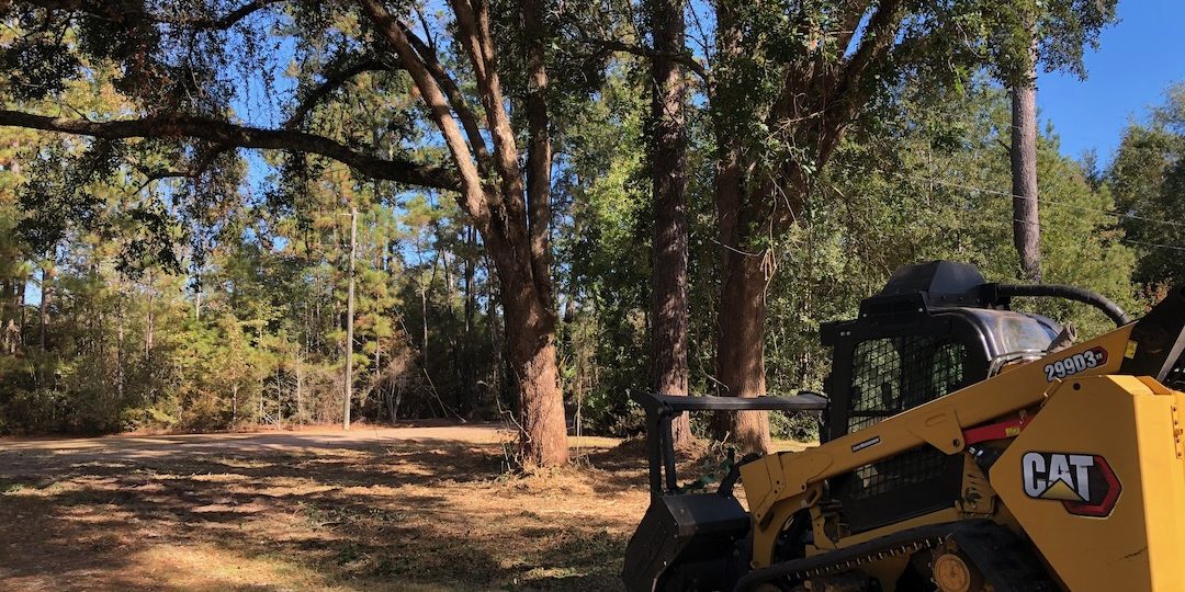 Longleaf Landworks Forestry Mulching and Brush Cutting Longleaf Landworks Forestry Mulching and Brush Cutting