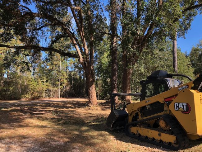 Longleaf Landworks Forestry Mulching and Brush Cutting