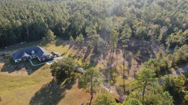 How to clear unwanted brush and trees from property