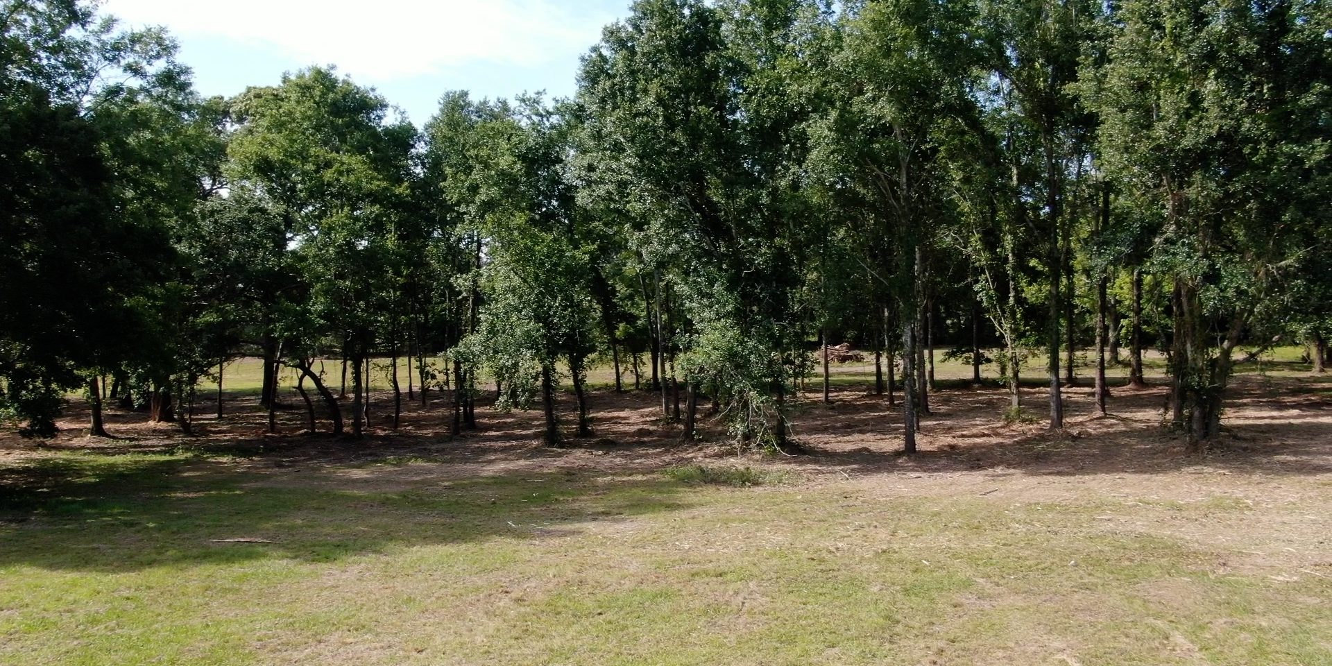 Forestry Mulching Pass Christian, MS