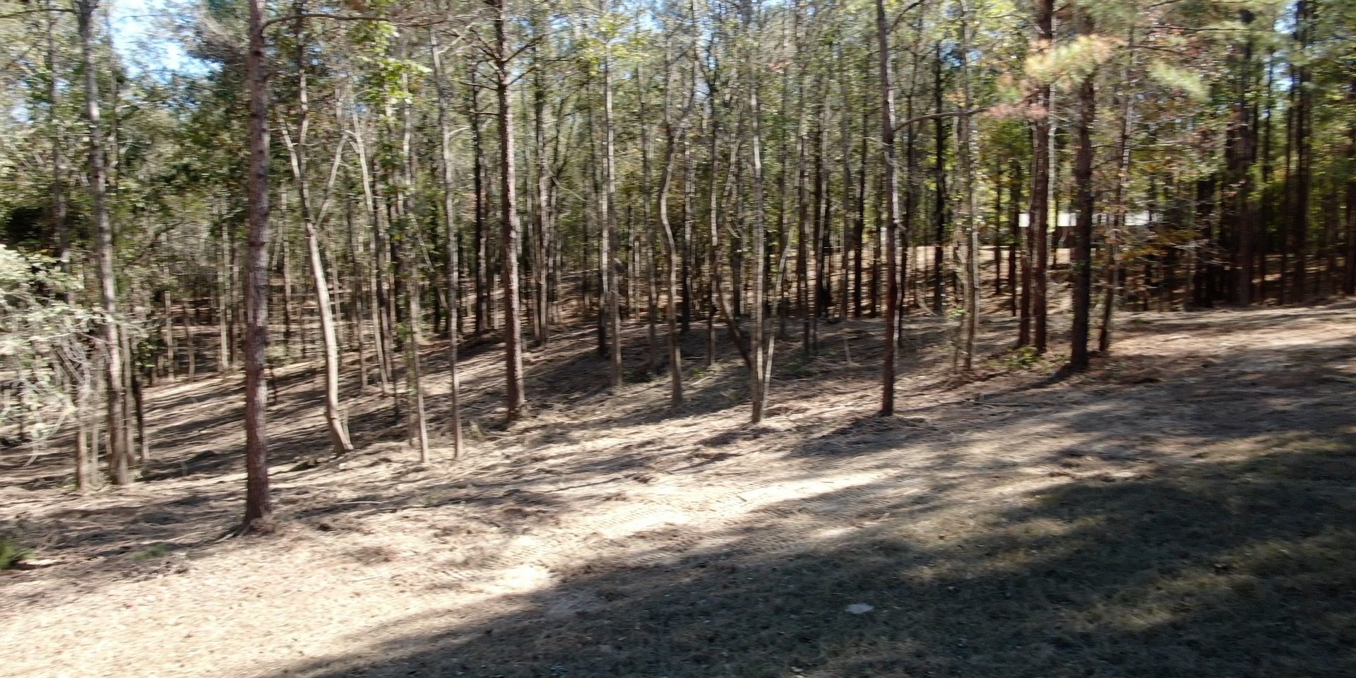 Forestry Mulching Service