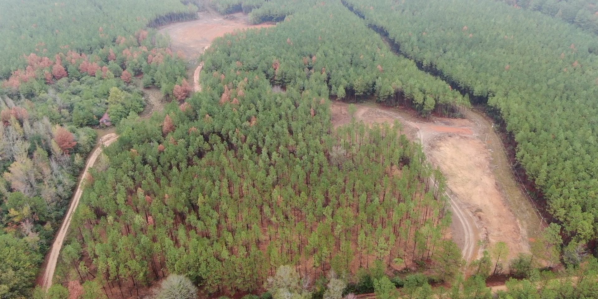 Forestry Mulching Service