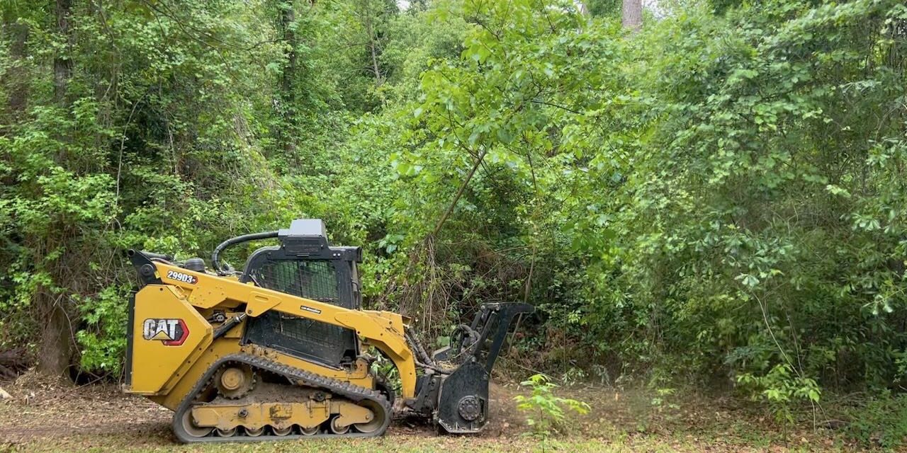 Forestry Mulching Service Brush Clearing Service
