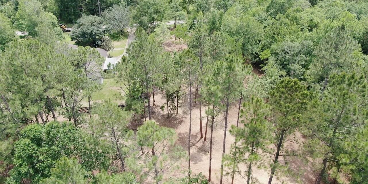 Forestry Mulching Service South East Louisiana