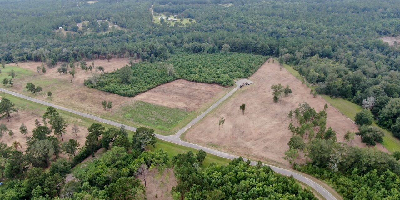 Forestry Mulching and Land Clearing Service