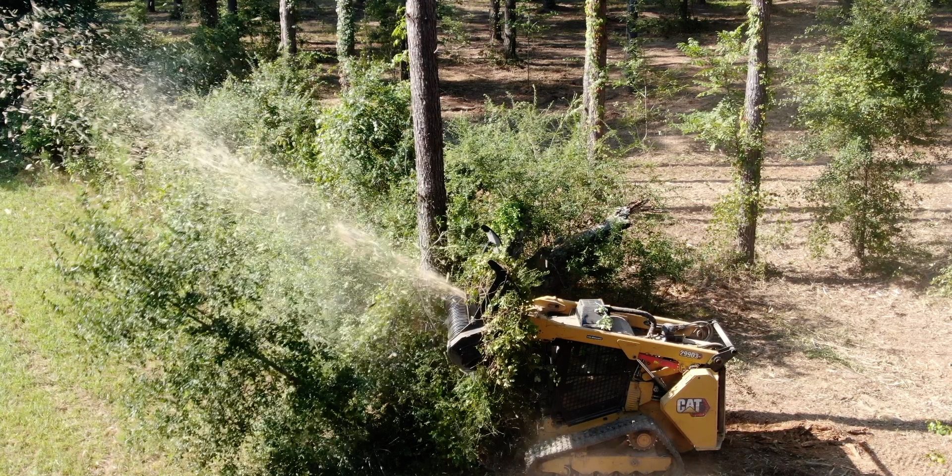 Forestry Mulching, Brush Cutting, & Land Clearing