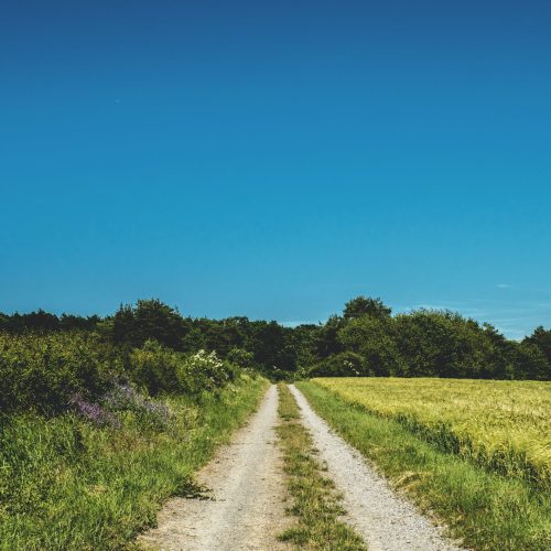 dirt-road-placeholder